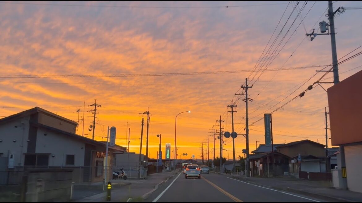 Driving in Japan | From Tokyo to Himeji | Road Trip | May 2024