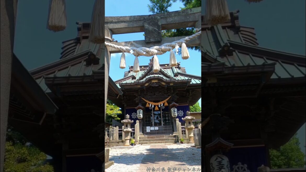 真夏の青空の下、湘南 茅ヶ崎の街を巡る。 #shorts