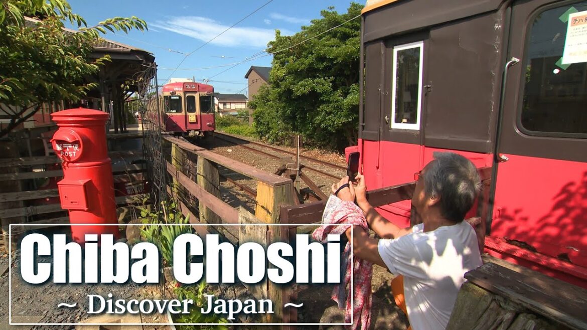 【千葉】情緒あふれるレトロなローカル線＆激しく跳ね打つ“祭り太鼓”〈旅人・寺島進〉