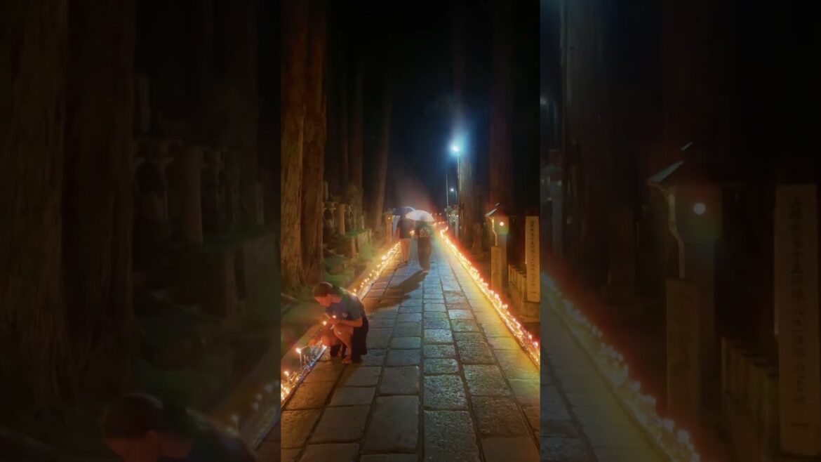 Candle Festival #shorts #japan