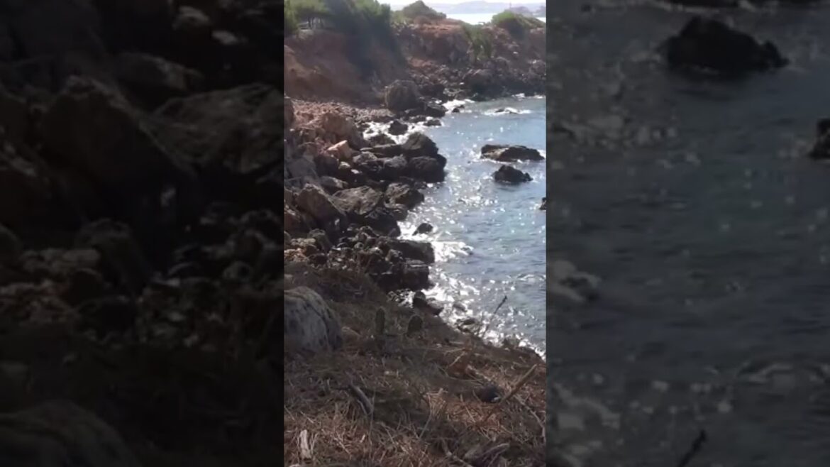 Une crique au bord de la mer avec le chant des cigales