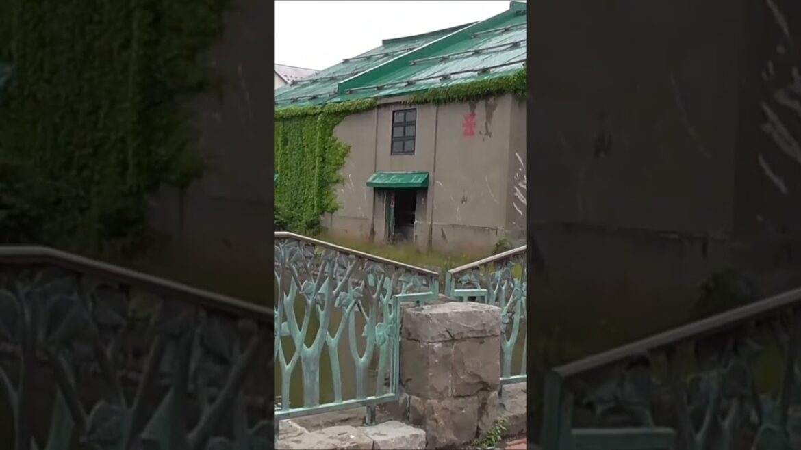 小樽運河　北海道　 #shorts   #hokkaido  #北海道 　#新日本海フェリー　#らいらっく　#すいせん　＃すずらん　＃はまなす　#otaru  #小樽　#小樽運河　＃Japan