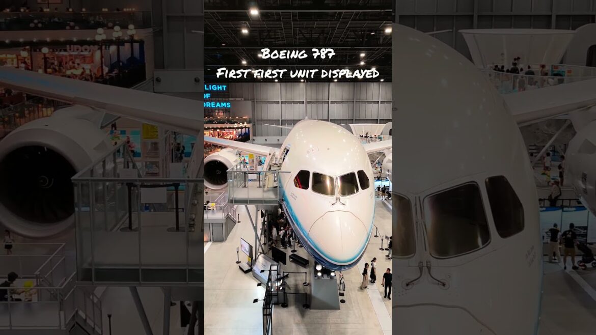 The best Starbucks in Asia. You can have coffee with B787!! #nagoya #boeing #starbucks