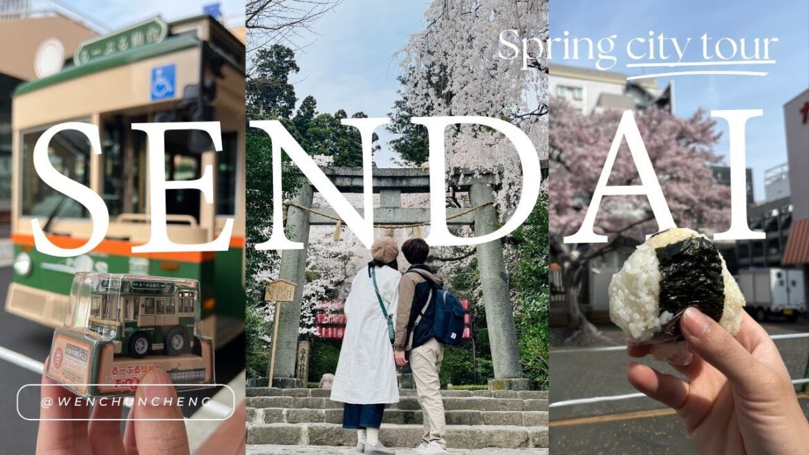 【 SENDAI VLOG 】Part  ⓸｜觀光巴士「るーぷる仙台」、仙台市內景點推薦、米澤牛名店「仔虎」、市內賞櫻景點、沒有城的仙台城跡？？｜JAPAN 🇯🇵｜VLOG #20