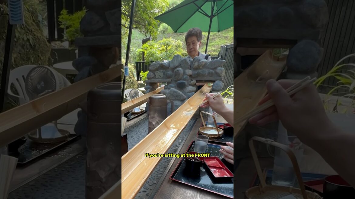 You Need a Social IQ of 300 to Eat Here!