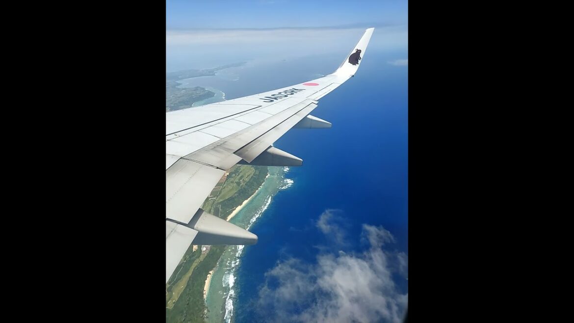 沖縄/那覇→宮古 日本トランスオーシャン航空 JTA B737-800 #jta #日本トランスオーシャン航空 #b737800 #空の上 #shorts 沖縄/那覇→宮古 日本トランスオーシャン航空 JTA B737-800 #jta #日本トランスオーシャン航空 #b737800 #空の上 #shorts