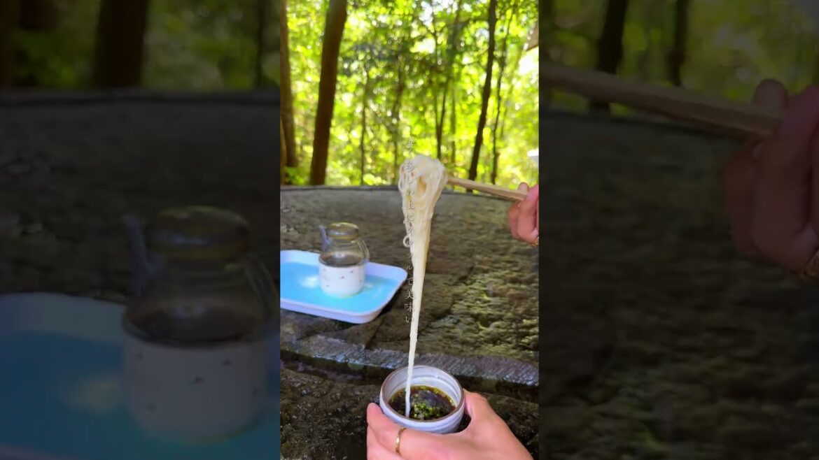 【鹿児島グルメ】唯一の岩のそうめん流し#shorts