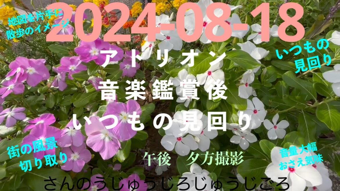 2024-08-18さんのうじゅうじろじゅうじごろ