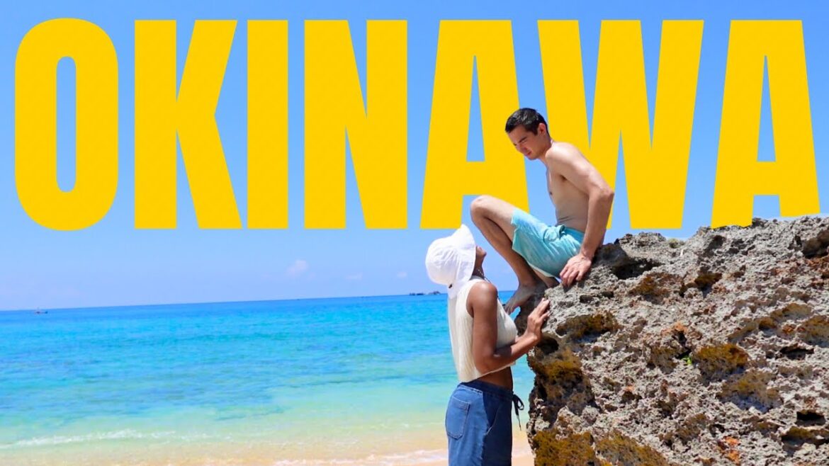 Summer Days In Japan | American Village, Ikei Beach, Sea Creatures