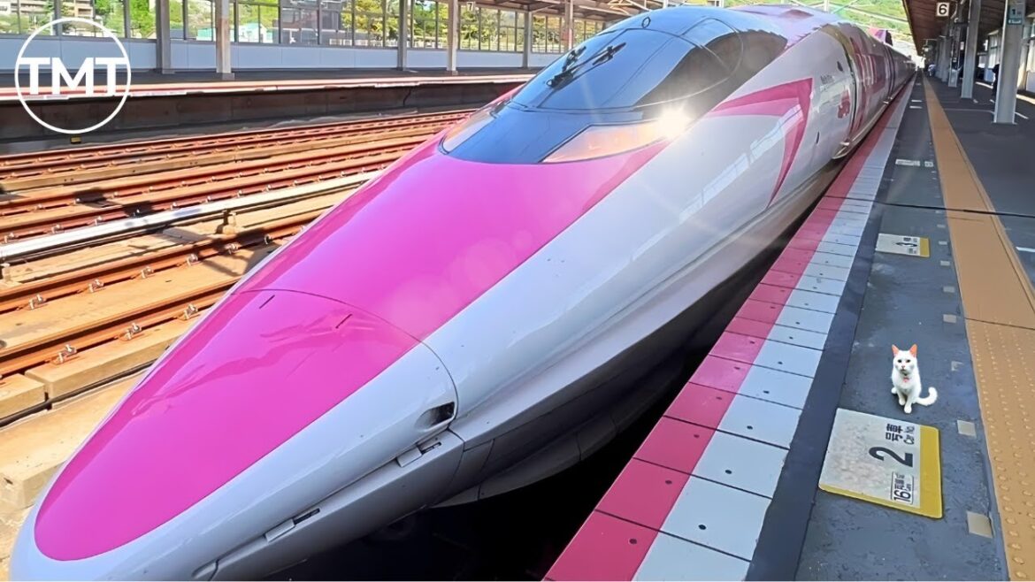 Hello Kitty Shinkansen: The Cutest Bullet Train from OSAKA to FUKUOKA Hello Kitty Shinkansen: The Cutest Bullet Train from OSAKA to FUKUOKA