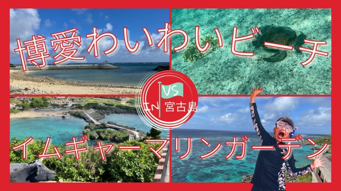 【博愛わいわいビーチv sイムギャーマリンガーデン（沖縄県宮古島）失敗しない解説付】初心者必見！ウミガメ ⁉️ 会えます👍 シュノーケリング海中動画有り 🐢駐車場は？シャワーは？👌😊🏝️