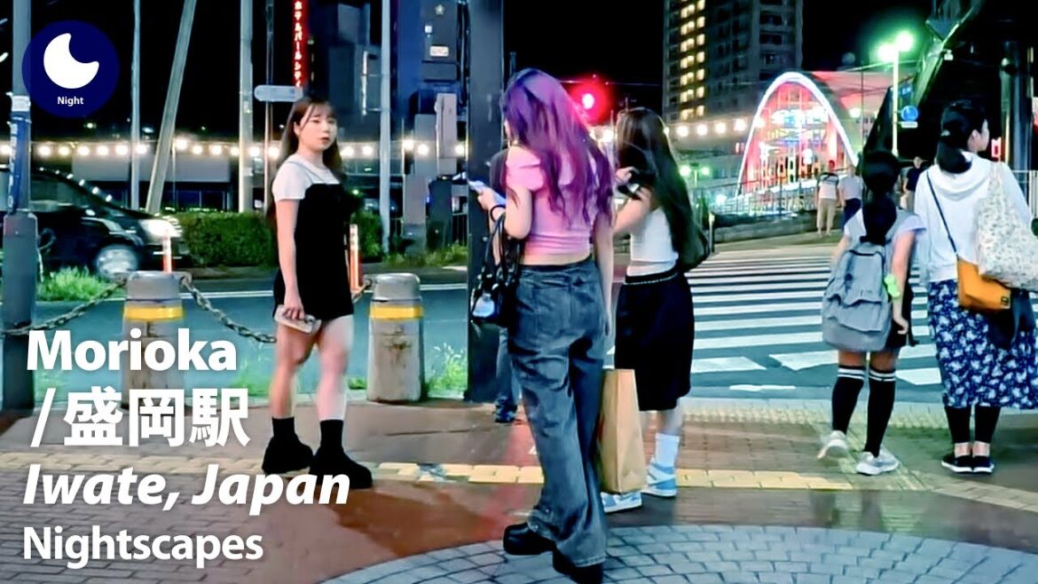 ⁴ᴷ Iwate: Morioka Station (岩手県: 盛岡駅) – Japan Walking Tour (August, 2024) ⁴ᴷ Iwate: Morioka Station (岩手県: 盛岡駅) - Japan Walking Tour (August, 2024)