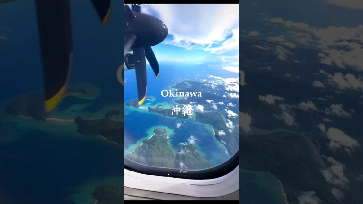 Okinawa #shorts#viral#viralvideos #tour#travel