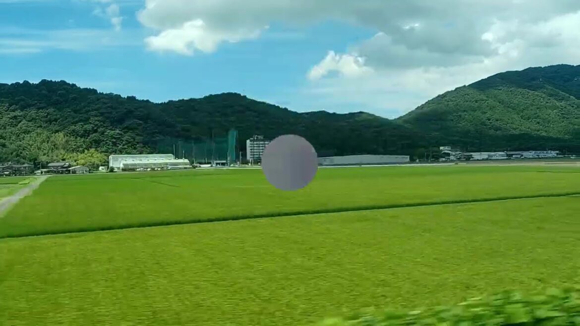 Bullet Train in Japan