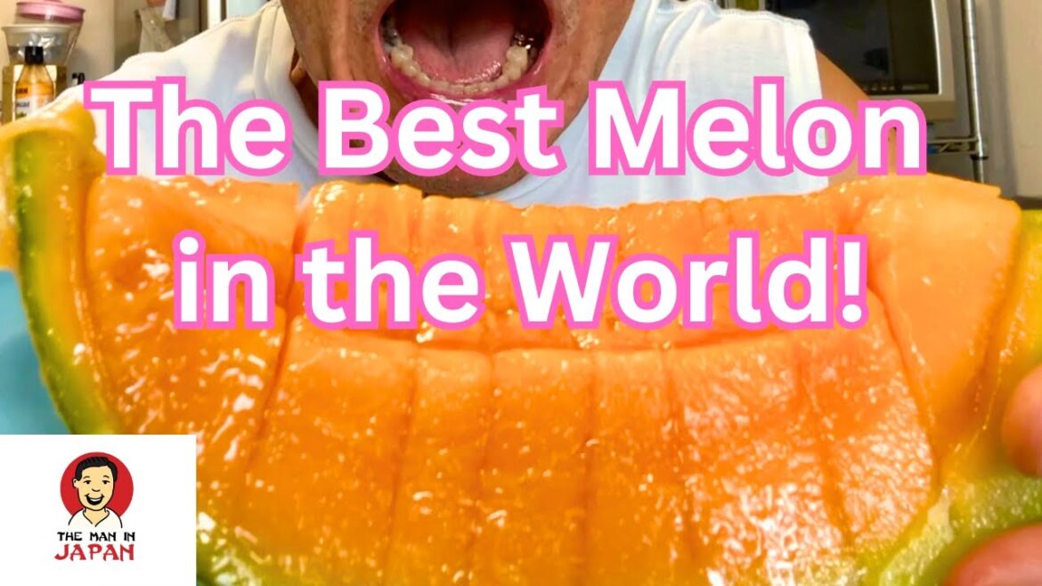 Hokkaido Melon (Yubari King!) is the Best!  #hokkaidojapan #hokkaidotravel  #japanesefruit