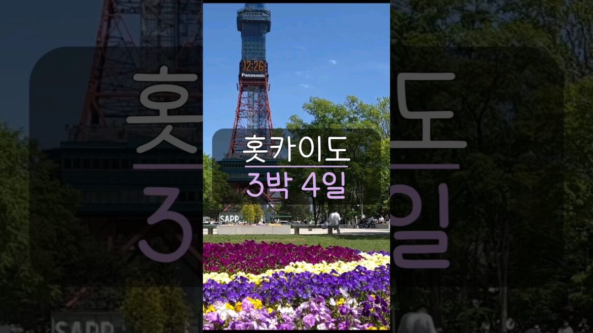 홋카이도 여행 3박 4일 코스🛩삿포로 여행 추천일정