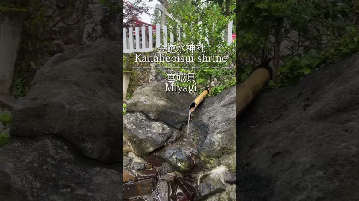 宮城県岩沼市金蛇水神社　#shorts #神社　#宮城県　#金蛇水神社　#金運　#miyagi #japan #shine