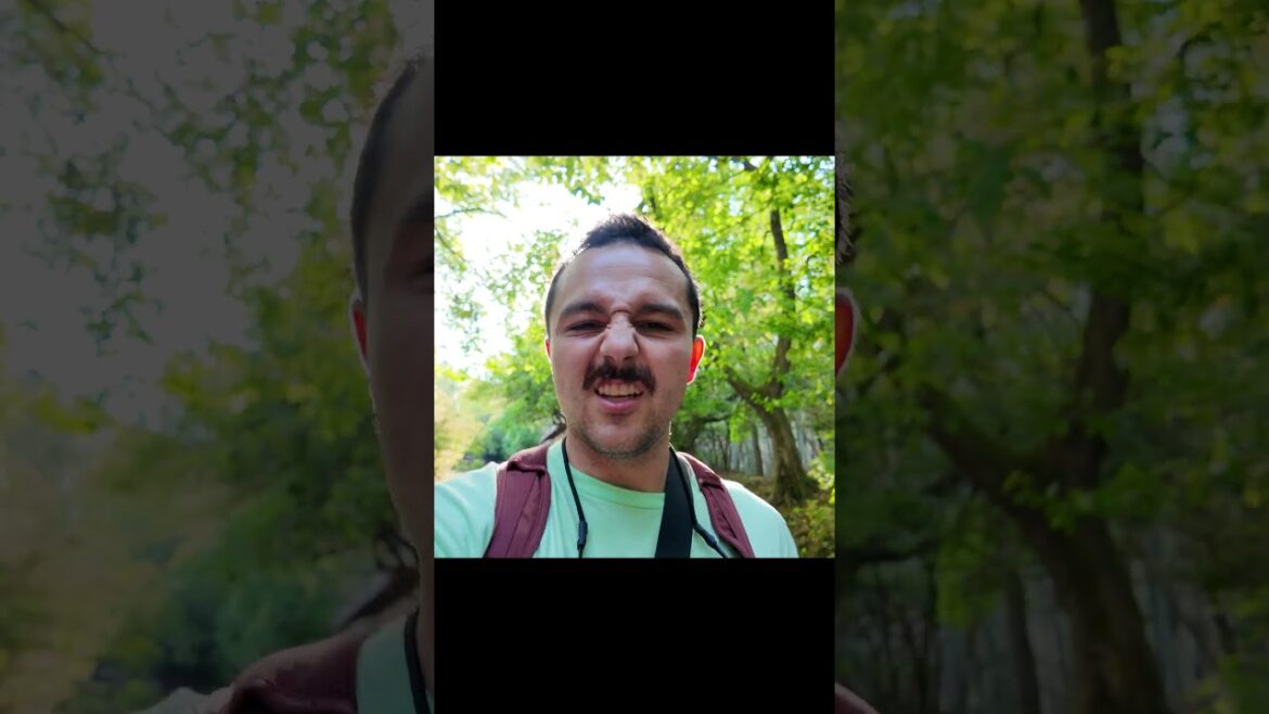 Kyoto is a Theme Park - Quick Rant #japan #travel #kyoto