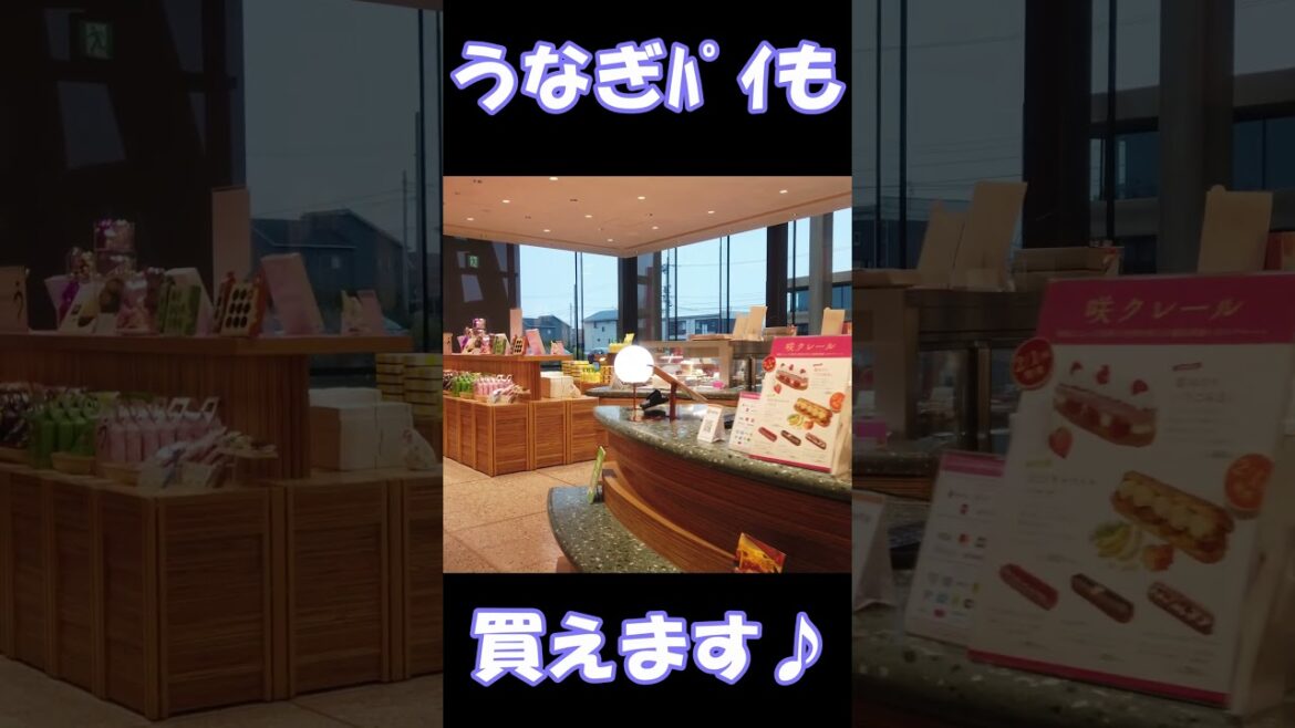 静岡県浜松のグルメと観光(浜松餃子~浜松広報館~SWEETSBANK~浜名湖)のんびり旅 #shorts 静岡県浜松のグルメと観光(浜松餃子~浜松広報館~SWEETSBANK~浜名湖)のんびり旅 #shorts