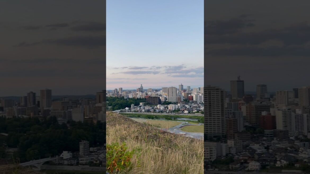 This is the Sendai city.    #japan  #travel  #shortsvideo #shorts