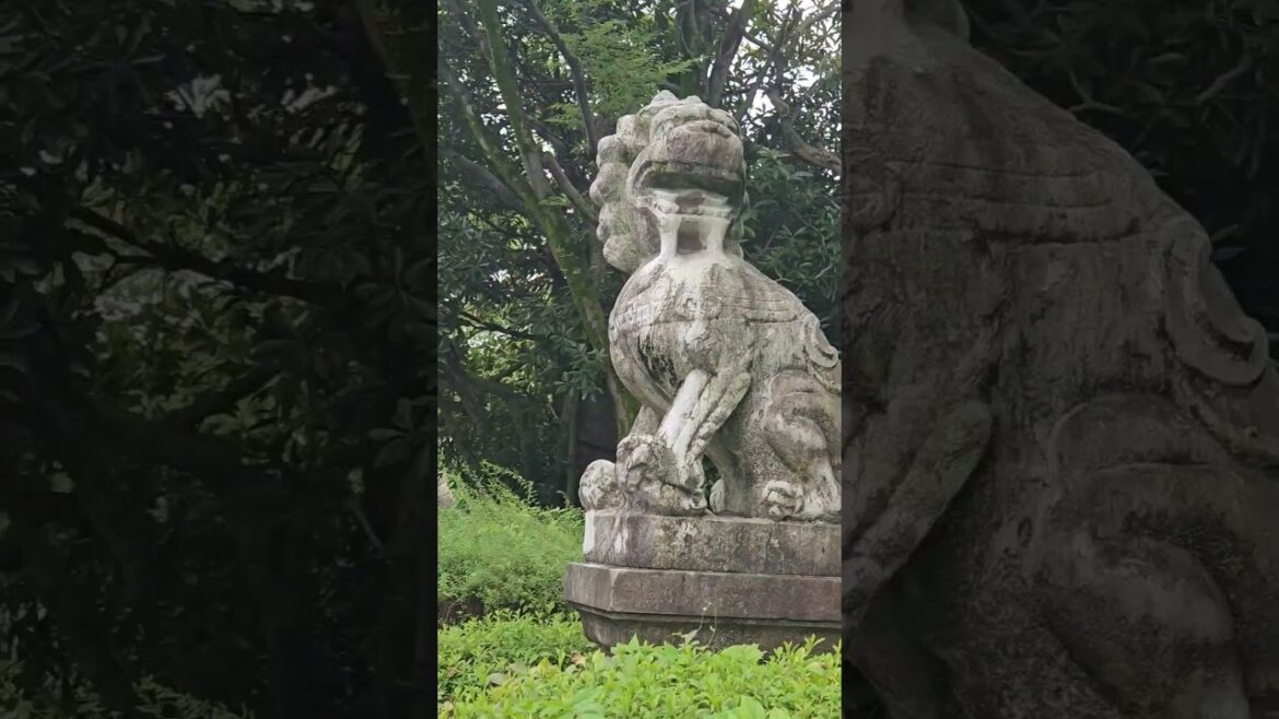 Osaka Castle and it's amazing history. #japan #osaka #strength #funny #travel  #castles #history