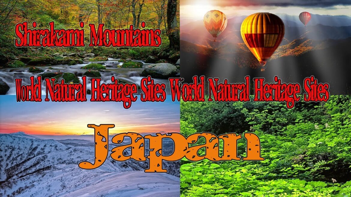 Shirakami Mountains, a World Natural Heritage Site
