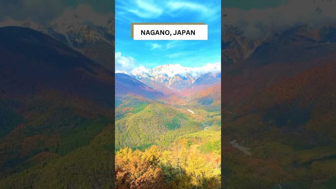 Nagano: A Japanese Paradise for the Adventurous! #shorts