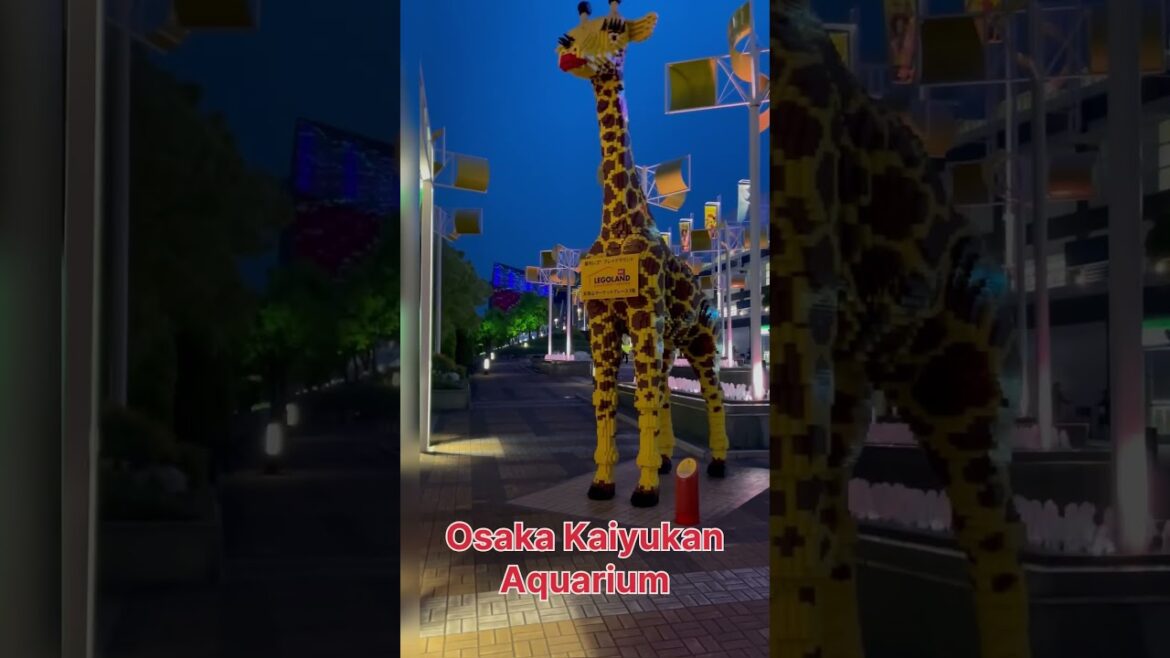 Japan Top Most Visiting Places #shorts#viral#videos Japan Top Most Visiting Places #shorts#viral#videos