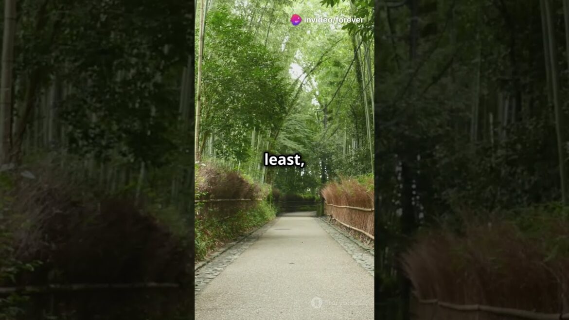 #shorts  #adventure #explore #japan #travel