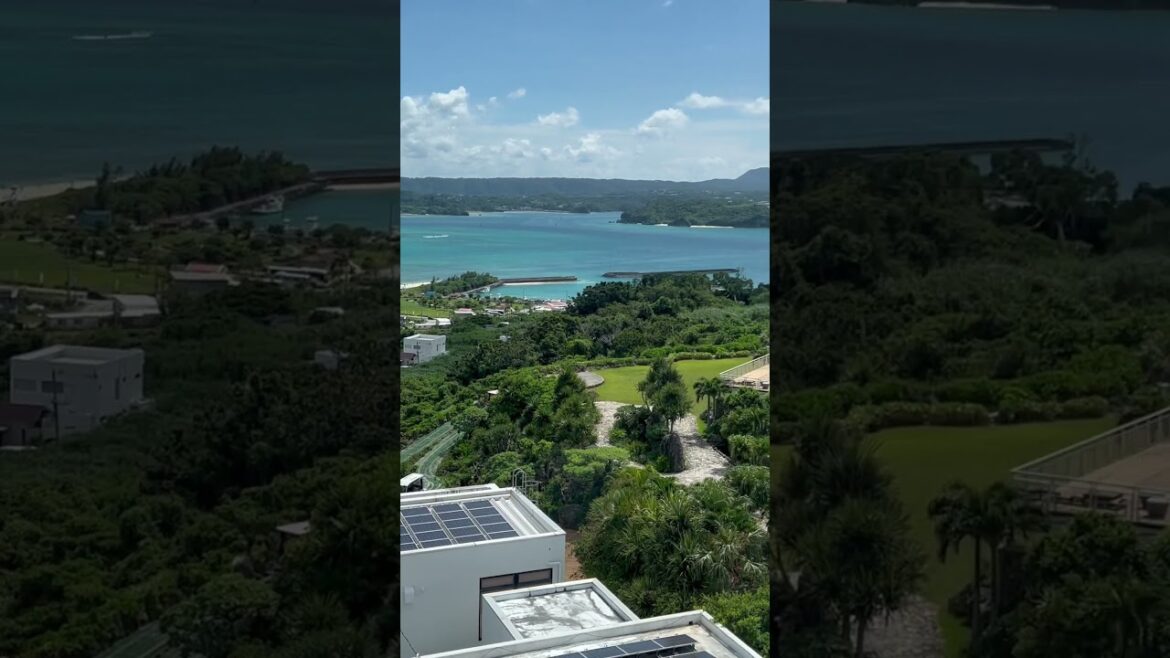 😱Okinawa’s true Hidden Gem #shorts #viralshorts