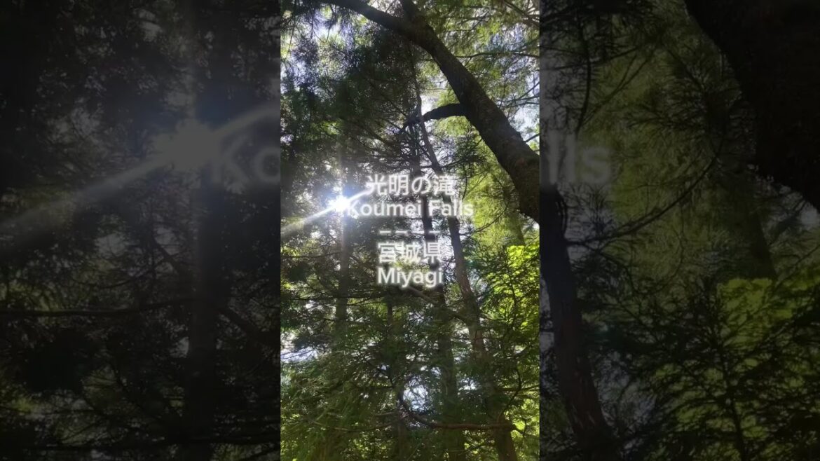 光明の滝　#旅行 #japan #観光 #miyagi #仙台　#shorts