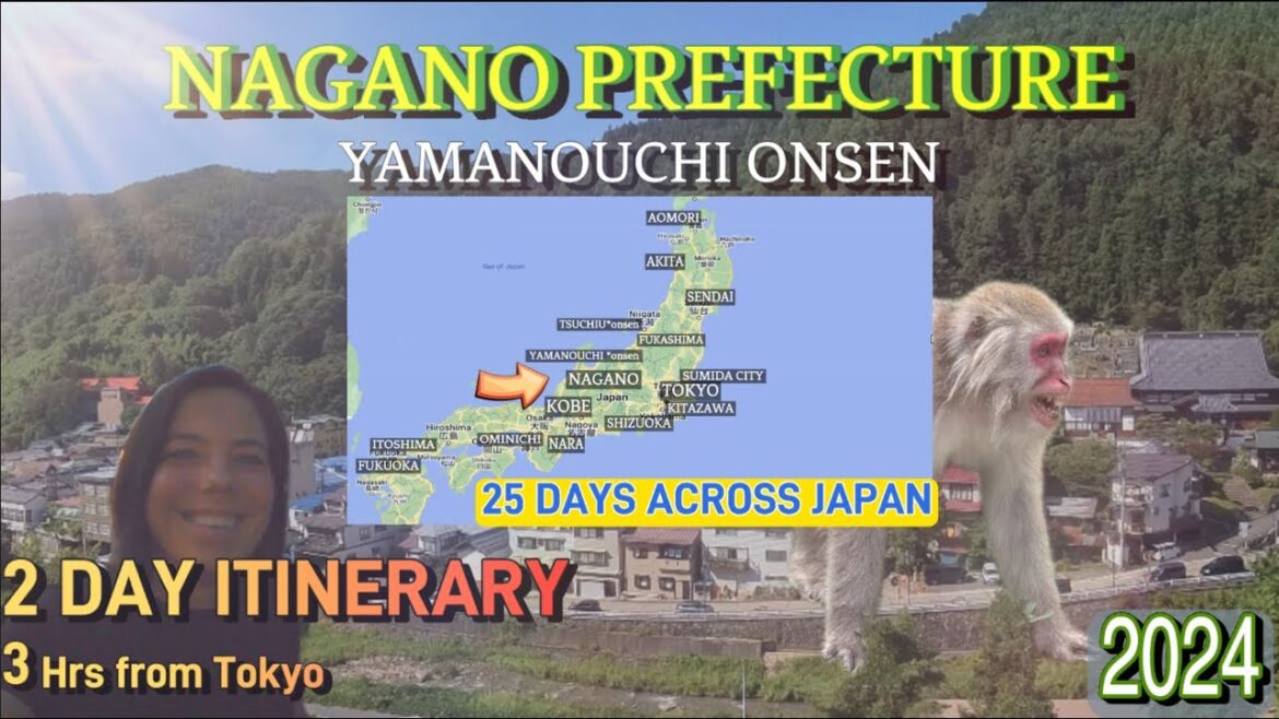 JAPAN: Nagano Prefecture (Yamanouchi Onsen) Just wow. WOW. LOVED visiting the SNOW MONKEYS! JAPAN: Nagano Prefecture (Yamanouchi Onsen) Just wow. WOW. LOVED visiting the SNOW MONKEYS!