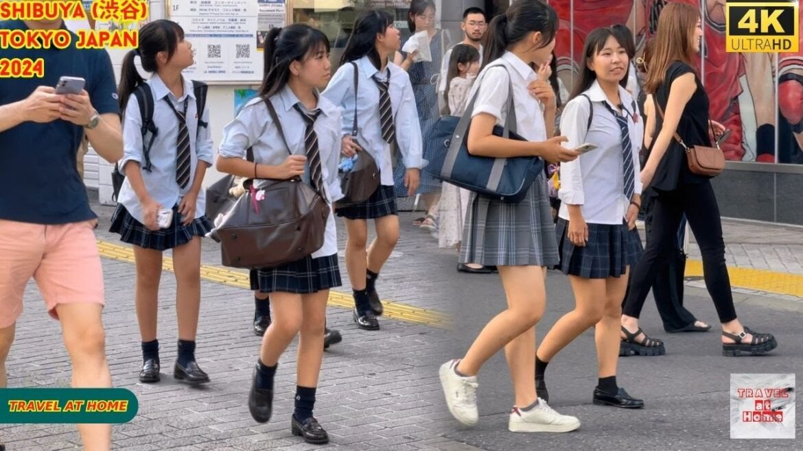 4k hdr Japan travel 2024 | Walk in Shibuya (渋谷) Tokyo Japan | Relaxing Natural City ambience 4k hdr Japan travel 2024 | Walk in Shibuya (渋谷) Tokyo Japan | Relaxing Natural City ambience