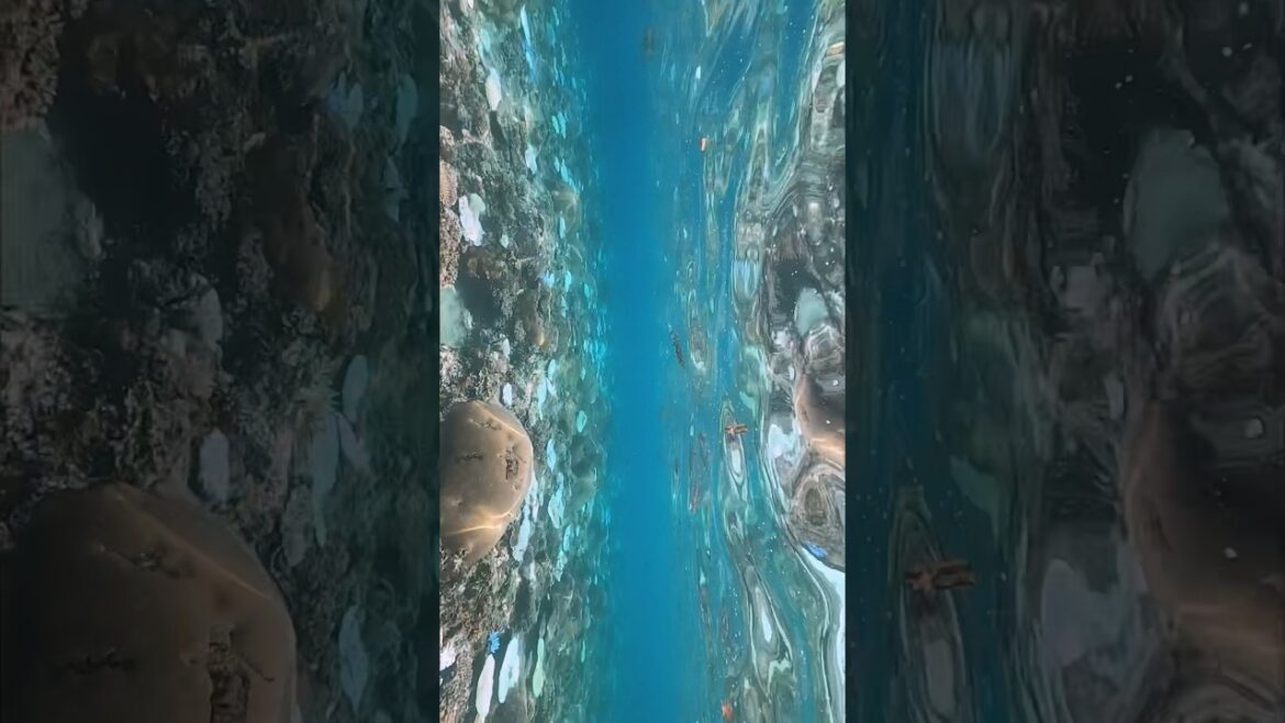 My favorite place in Japan | Traveling from Osaka to Miyakojima, Okinawa