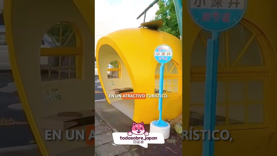 🍉🍈 Paradas de autobús de frutas en Japón #Nagasaki #japon