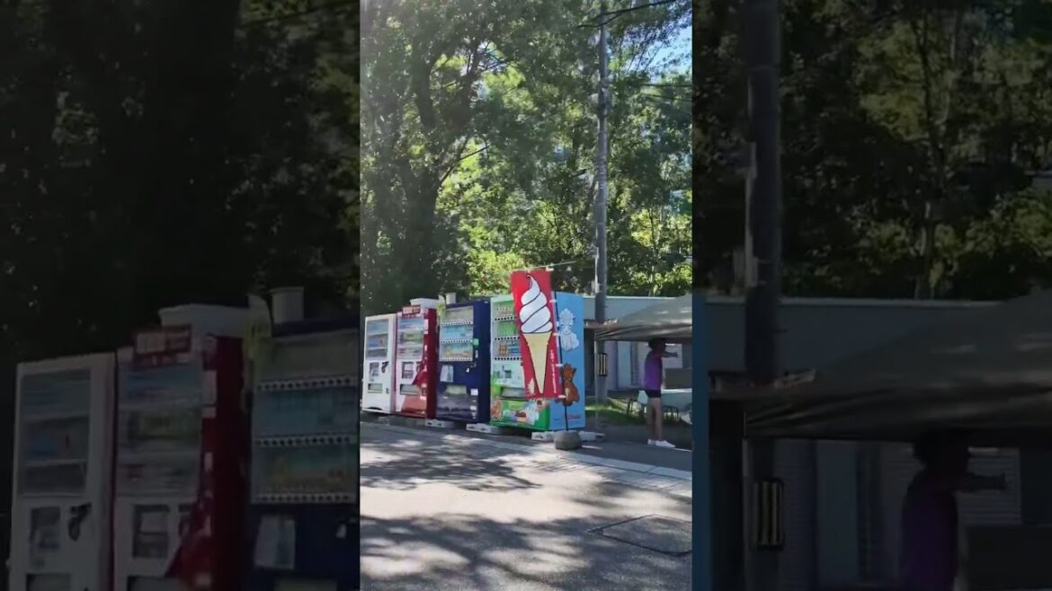 中島公園 札幌🇯🇵 Nakajima Park, Sapporo