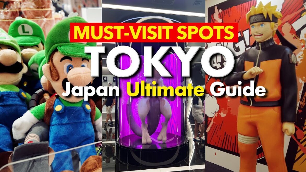 1 DAY ANIME SHOPPING TOUR IN TOKYO, JAPAN : Japan Ultimate Guide 2024