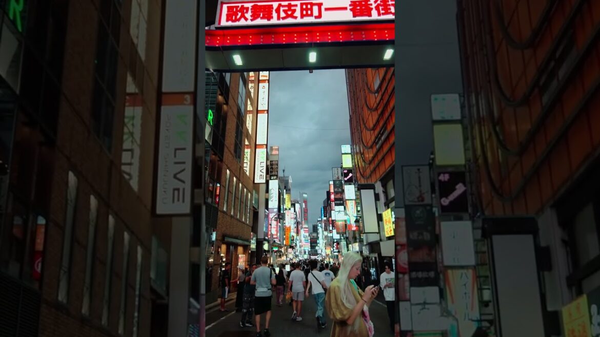 Kabukicho Ichibangai Arch, Tokyo Kabukicho Ichibangai Arch, Tokyo