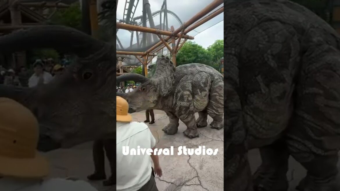 Things To Do In Japan