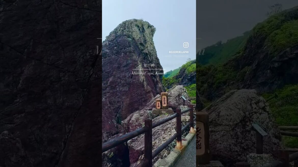 【Cape Muroto】#shorts #japan #travel #kochi #sea #rock