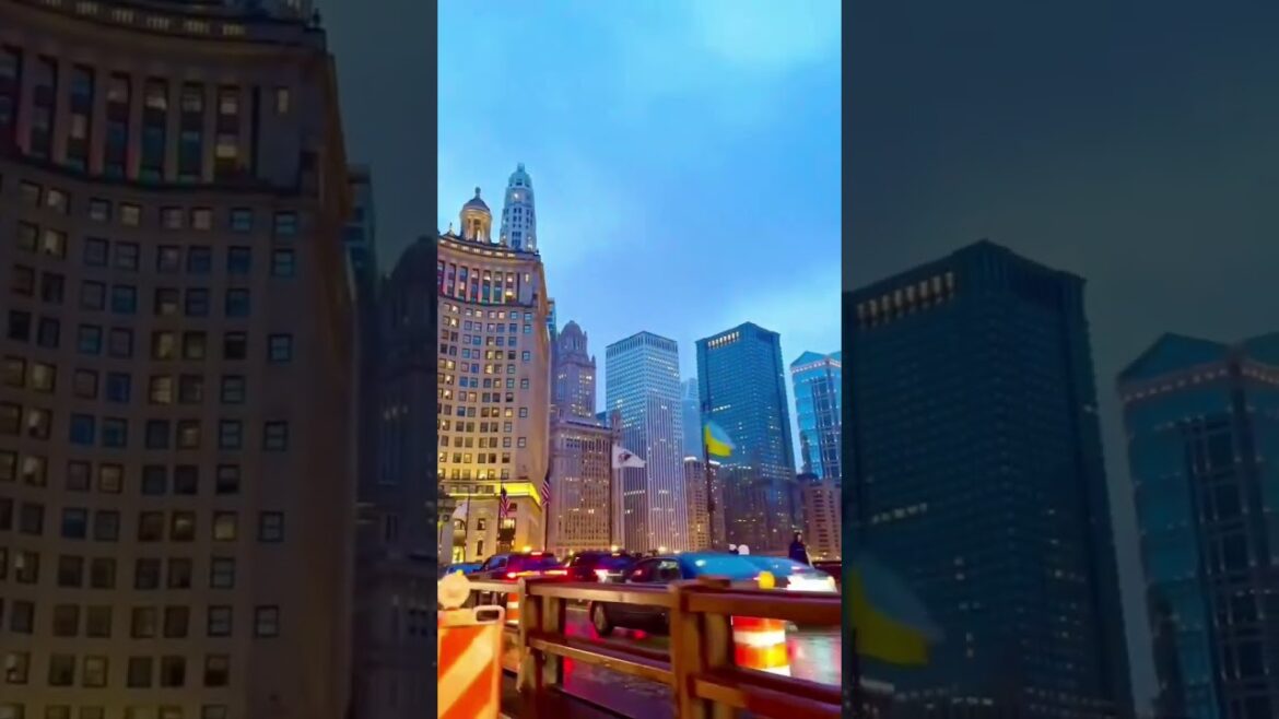 Traveling Love #shorts#viral#videos Traveling Love #shorts#viral#videos