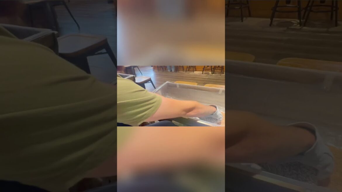 9 Most Enjoyable Things to Do in Tokyo