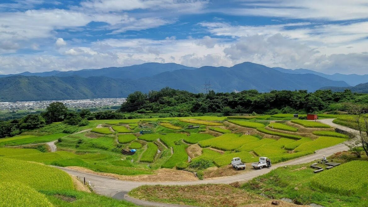 Driving to Obasute Rice Terraces | 古戦場から姨捨の棚田【ドライブ動画】 Driving to Obasute Rice Terraces | 古戦場から姨捨の棚田【ドライブ動画】