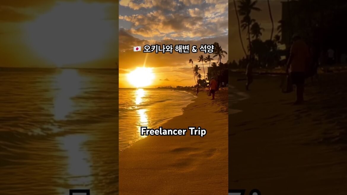🇯🇵 오키나와 해변 & 석양 #japan #okinawa #일본 #오키나와 #shorts