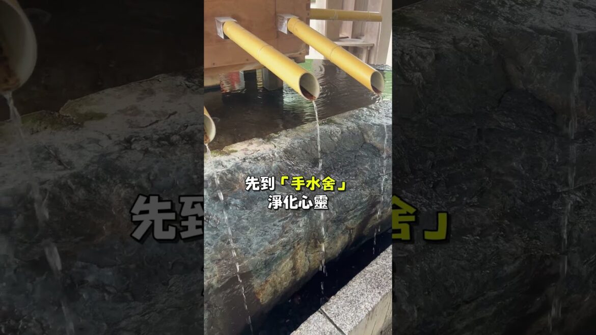 [鳥人帶你飛] 北海道神宮必吃 六花亭限定甜點 #日本 #日本旅遊 #札幌 #北海道 #北海道神宮 #六花亭 #許願 #運勢 #籤詩 #神社 #發財 #甜點