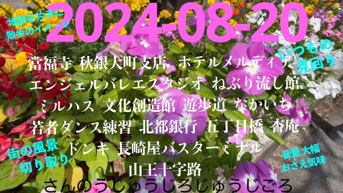 2024-08-20さんのうじゅうじろじゅうじごろ