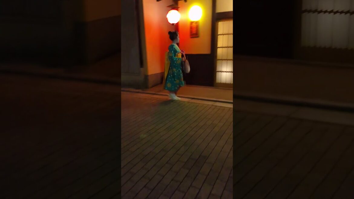 Gion district Kyoto 🇯🇵 #travelshorts #giondistrict #kyoto #japanshorts #japan #kyotoshorts