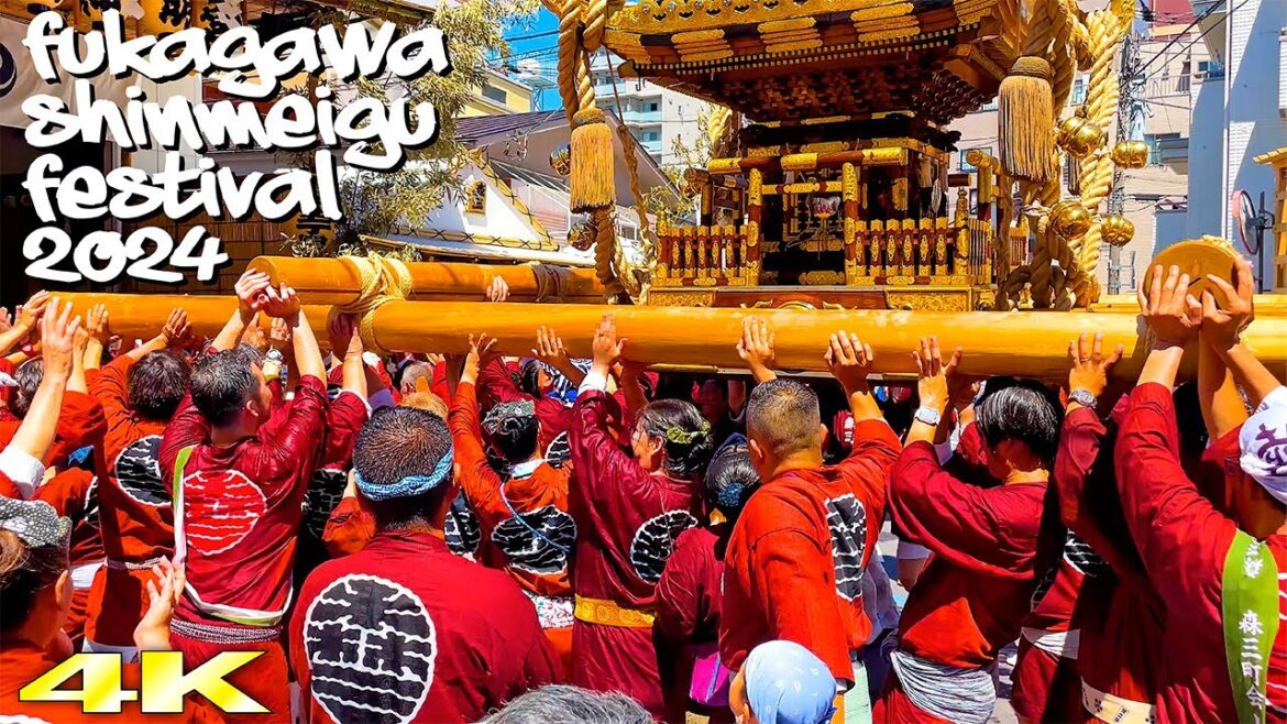 夏だ！神輿だ！わっしょい！ 深川神明宮例大祭 宮神輿巡幸 2024 Fukagawa Shinmeigu Festival  森下３丁目スペシャル！日本の祭り 4K