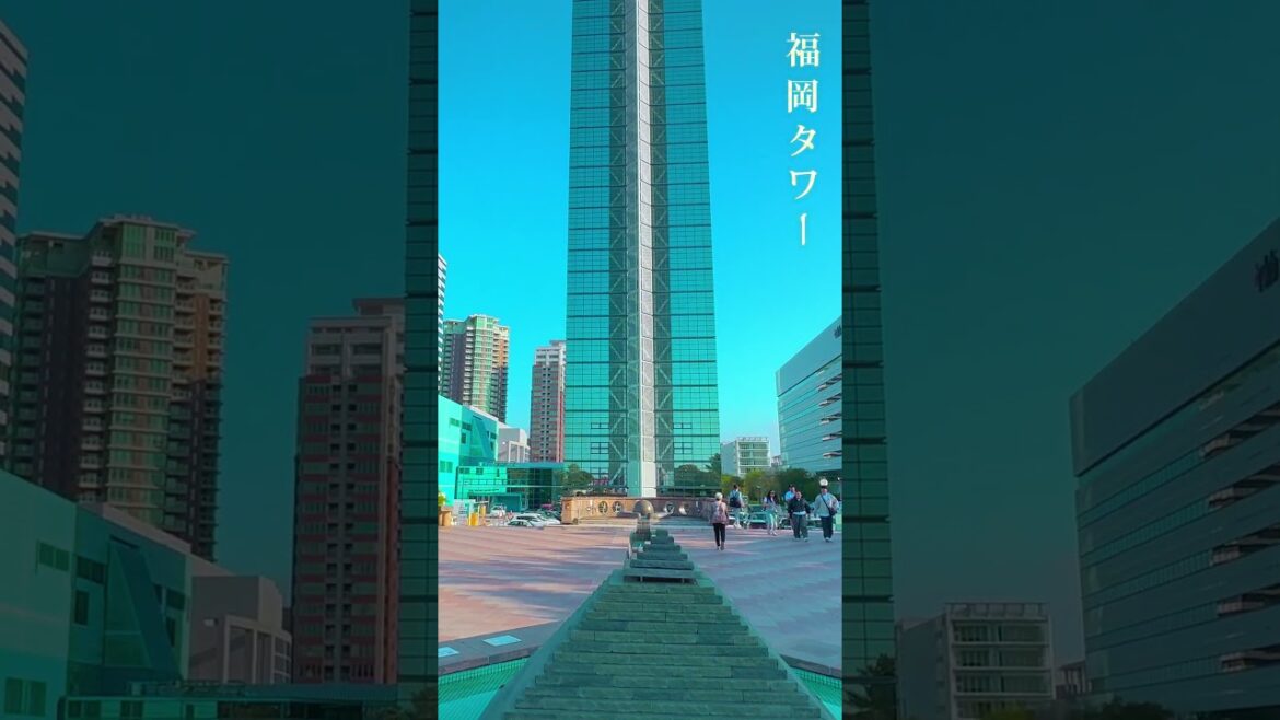 ☀️어느 여름날의 후쿠오카