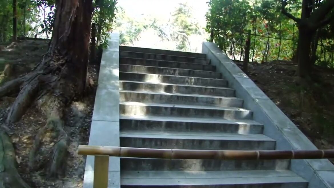 mi viaje a japon marzo 2011 saliendo de fushini inari #japan #japon #kyoto #fushimiinari #travel mi viaje a japon marzo 2011 saliendo de fushini inari #japan #japon #kyoto #fushimiinari #travel